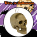 Halloween Animated Light Up Talking Skull | Party Accessories | White