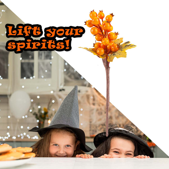Halloween Autumn Berry Pick Decoration | Party Decoration | Orange