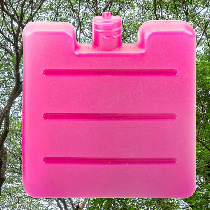 Cooler Ice Block | Cool Pack Food Storage | 3 Pack Berry Pink