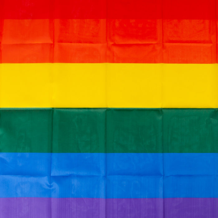 Rainbow Pride Large Flag 52" x 31"