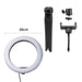 Social Media 20cm LED Ring Light with Phone Holder