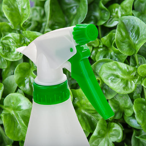 Garden Plant Sprayer Bottle 750ml - Roots & Shoots