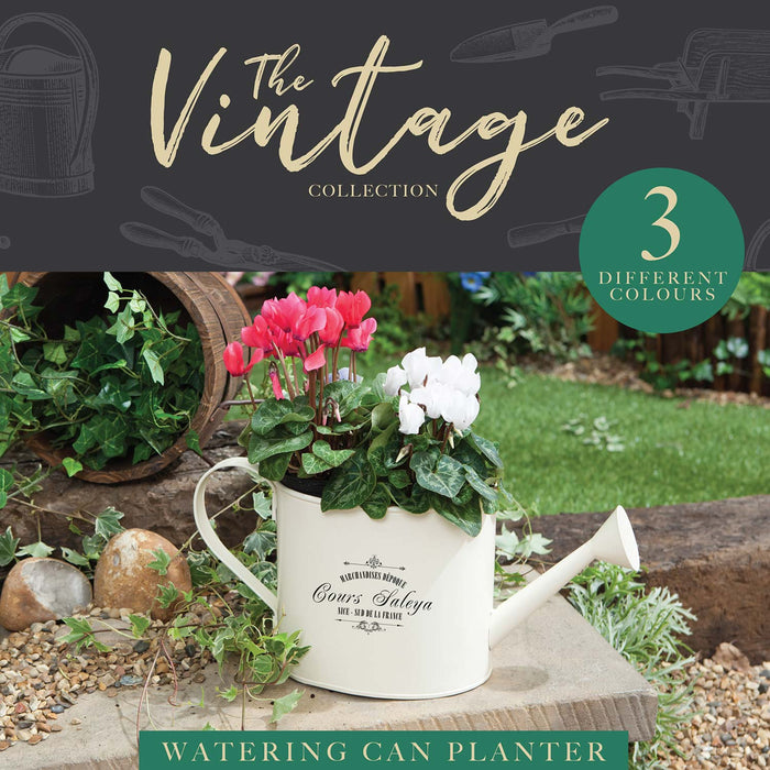 Vintage Cream Watercan Planter Bucket