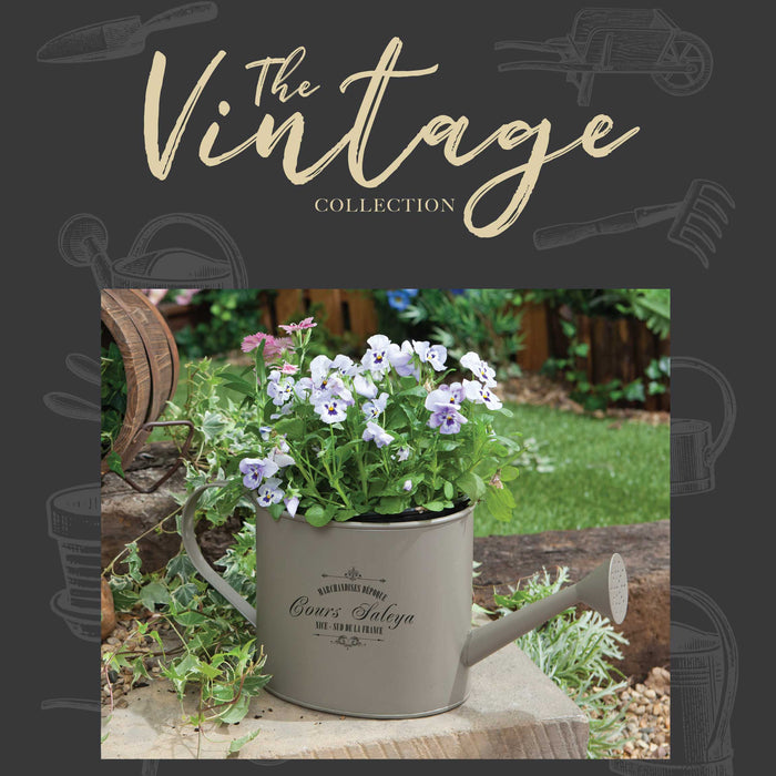 Vintage Grey Watercan Planter Bucket