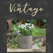 Vintage Grey Watercan Planter Bucket