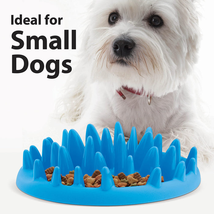 Slow Eat Cat & Dog Bowl