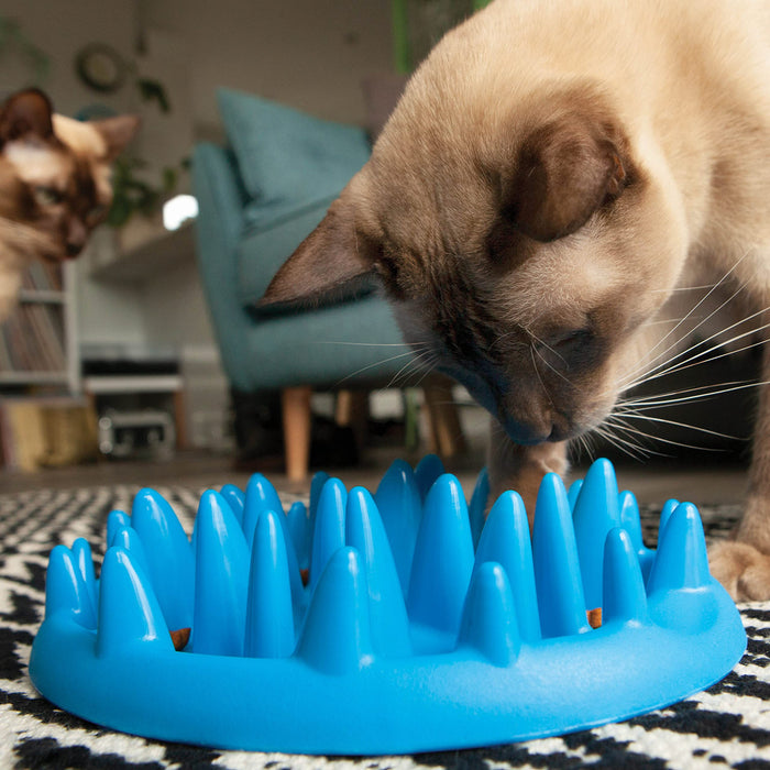 Slow Eat Cat & Dog Bowl