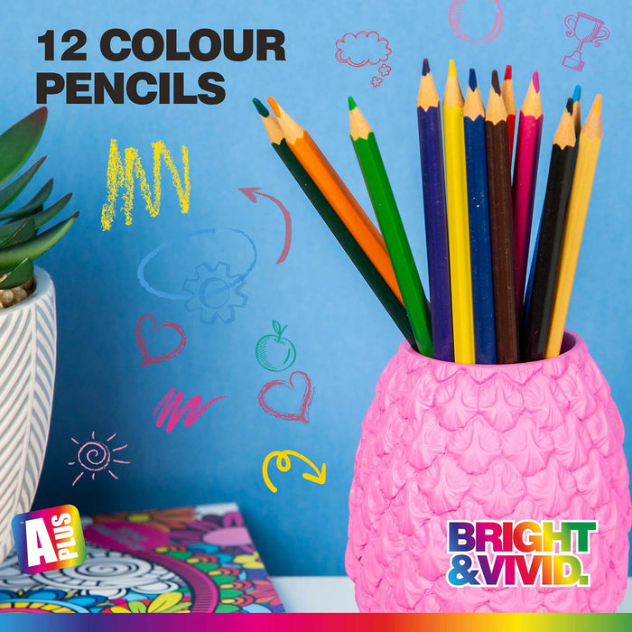 Assorted Coloured Pencils (12 Pack) APlus