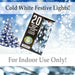 Indoor Copper Wire Lights- Cold White- Christmas Lights (20)