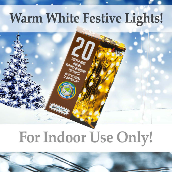 Indoor Copper Wire Lights- Warm White- Christmas Lights (20)