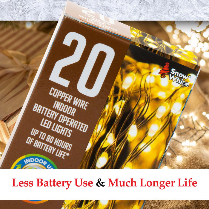 Indoor Copper Wire Lights- Warm White- Christmas Lights (20)