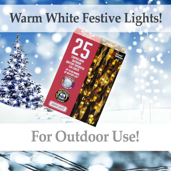 Outdoor Copper Wire Lights(25) - Warm White- Christmas Lights