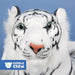 Moulded Head White Tiger Plush Toy, 60cm