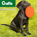 VFM/ Crufts Frisbee, Flying Disc Dog Toy (Orange)