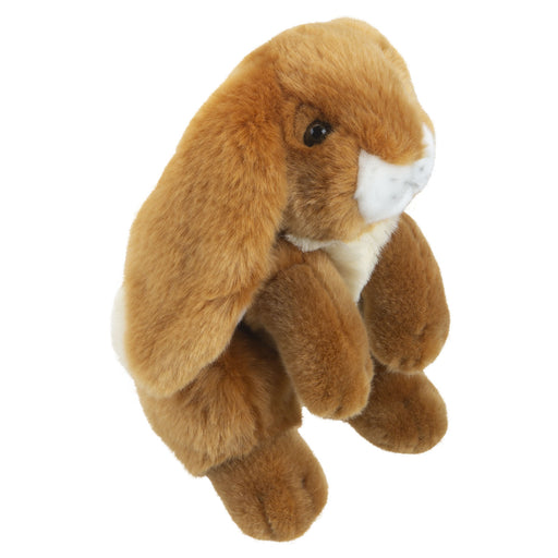 Ginger Bunny 25cm Plush Premium Lifelike Toy - Natural World Collection