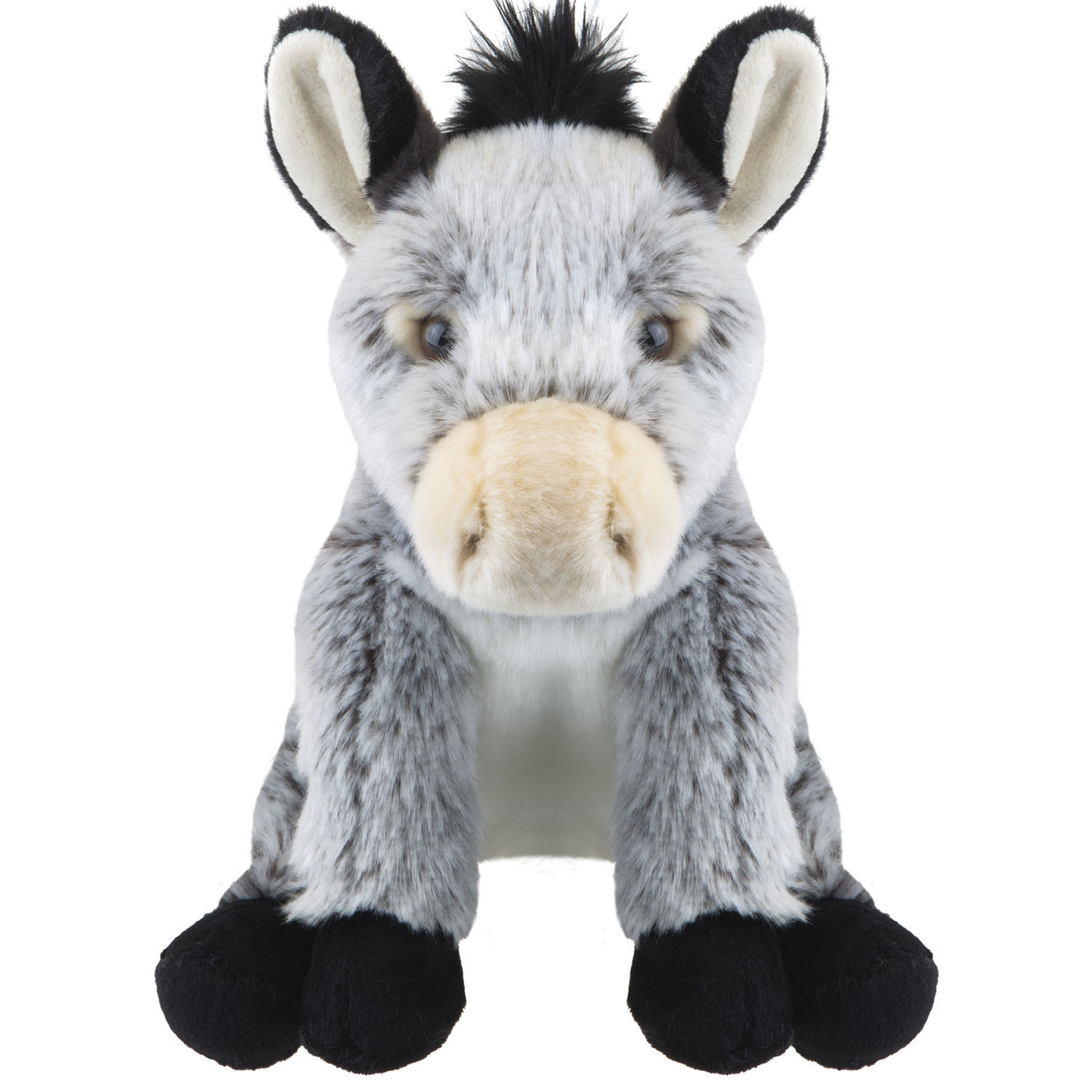 Donkey
