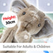 Safari Elephant 30cm Plush Premium Lifelike Toy - Natural World Collection