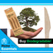 Biodegradable Wood Knife Set Sustainable Birchwood Cutlery - ECO (24 Pack)
