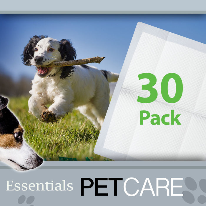 Puppy Training Pads, Pack of 30, House Pet