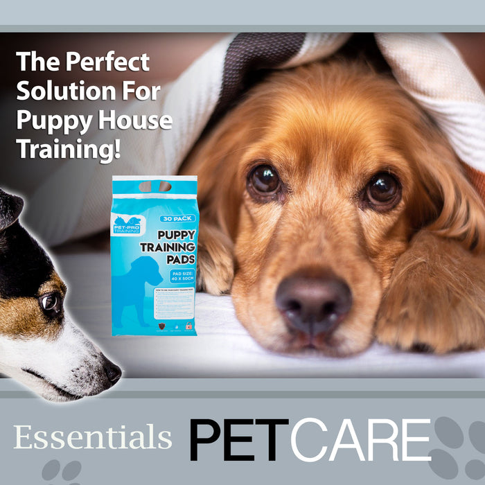 Puppy Training Pads, Pack of 30, House Pet