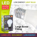 Warm White 5W Screw Base Classic LED Frosted Light Bulb - Orma