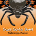 Halloween Sweet Bowl - Spider Bowl Scary Halloween Party - 24cm Black