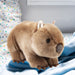 Wombat Soft Toy Wild Animal Plush Brown
