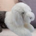 Sheepdog Soft Toy Dog Plush Cuddly Fluffy 45cm Grey and White Floppy Sheepdog