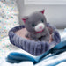 Grey Cat Soft Toy Purple Basket Cute Cat Plush Cuddly Fluffy Kitty 25cm Purple