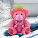 Fruit-tella Strawberry Bear Soft Toy Plush Cute Cuddly Fluffy Plushie 23cm Pink