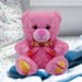 Fruit-tella Strawberry Bear Soft Toy Fruity Plush Cute Cuddly Fluffy 15cm Pink