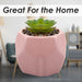 Artificial Plant Pink Indoor Potted Pot Plastic  Small Succulents 12.1cm Pink