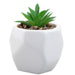 Artificial Plant White Indoor Potted Pot Plastic  Small Succulents 12.1cm White