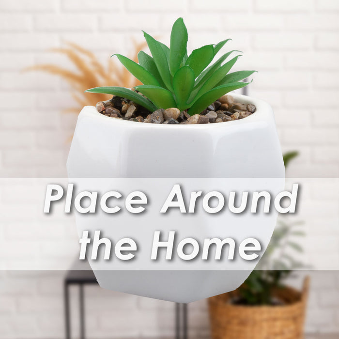 Artificial Plant White Indoor Potted Pot Plastic Small Succulents 12. 1cm White