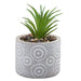 Artificial Plant Small Square Indoor Potted Plastic Small Succulents 11. 6cm Grey