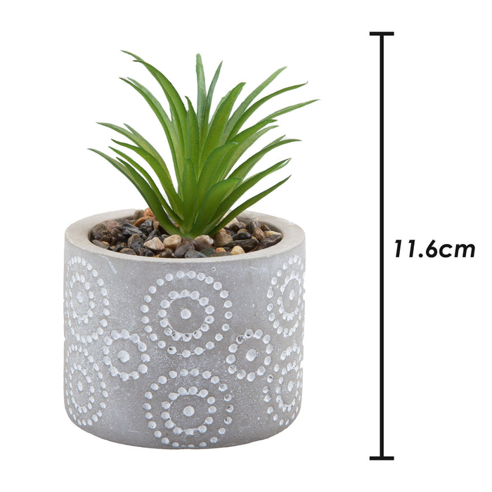 Artificial Plant Small Square Indoor Potted Plastic Small Succulents 11. 6cm Grey