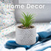 Artificial Plant Small Square Indoor Potted Plastic Small Succulents 11. 6cm Grey