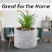 Artificial Plant Small Square Indoor Potted Plastic Small Succulents 11. 6cm Grey
