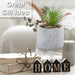 Artificial Plant Small Square Indoor Potted Plastic Small Succulents 11. 6cm Grey