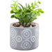 Artificial Plant Large Square Indoor Potted Plastic Small Succulents 11. 6cm Grey