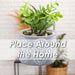 Artificial Plant Large Square Indoor Potted Plastic Small Succulents 11. 6cm Grey