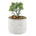 Artificial Plant Triangle Indoor Potted Plastic Small Succulents 11. 6cm Grey