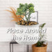 Artificial Plant Triangle Indoor Potted Plastic Small Succulents 11. 6cm Grey