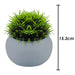 Artificial Plant Grey Indoor Potted Plastic Small Succulents 15.3cm Grey