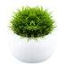 Artificial Plant White Indoor Potted Plastic Small Succulents 15.3cm White