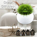 Artificial Plant White Indoor Potted Plastic Small Succulents 15. 3cm White