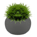 Artificial Plant Dark Grey Indoor Potted Plastic Succulents 15.3cm Dark Grey