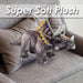 Triceratops Dinosaur Soft Toy Dinosaur Skeleton Body Plush Cuddly 25cm Grey