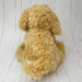 Labradoodle Dog Soft Toy Plush, Cavapoo, Cockapoo , Labradoodle, 30cm - Biscuit