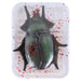Halloween Insects Decoration Party, Trick or Treat 18.